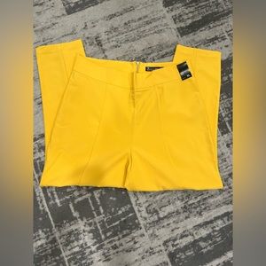 Brand New With Tags 7th Avenue NY&C Straight Leg Stretch XL